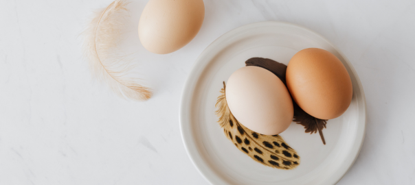 colesterolo alto dieta