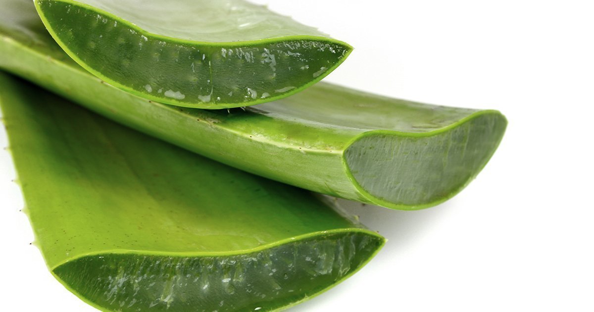 blogs posts Aloe Vera Simple